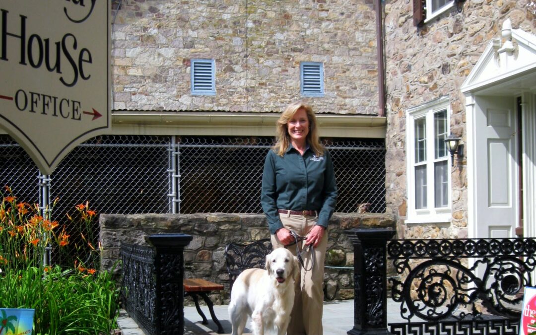 Holiday House Pet Resort Celebrates 10th Anniversary Milestone