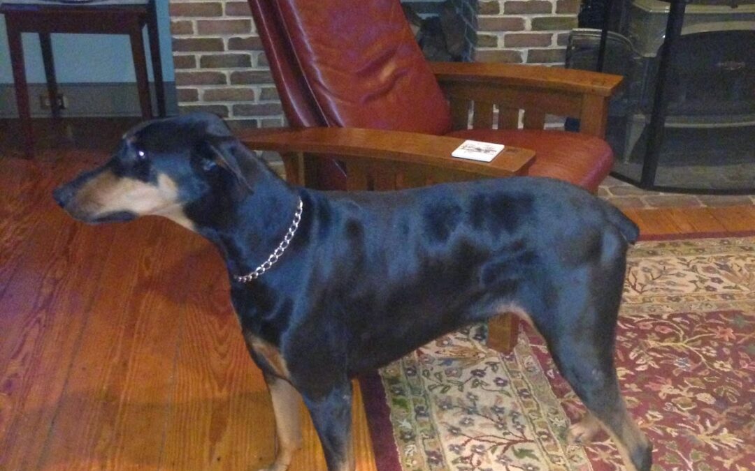 Proper Nutrition for a Healthier Life