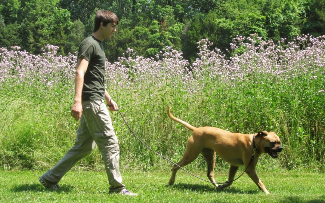 Celebrate Earth Day with Your Pets