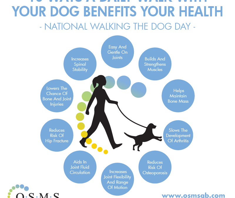 10 Benefits of Walking the Dog