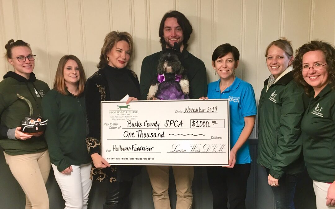 Donations Benefit Animals Shelters