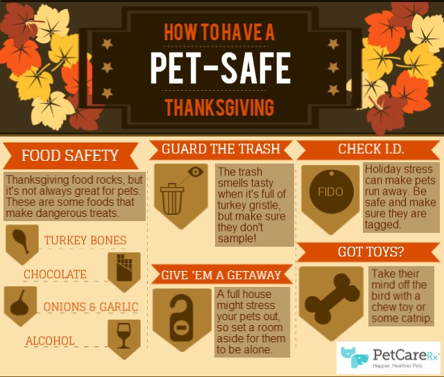 Pet Safety Tips for Thanksgiving