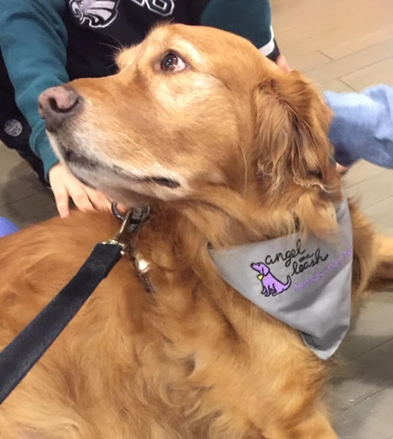 Back-to-School: Therapy Dog Training