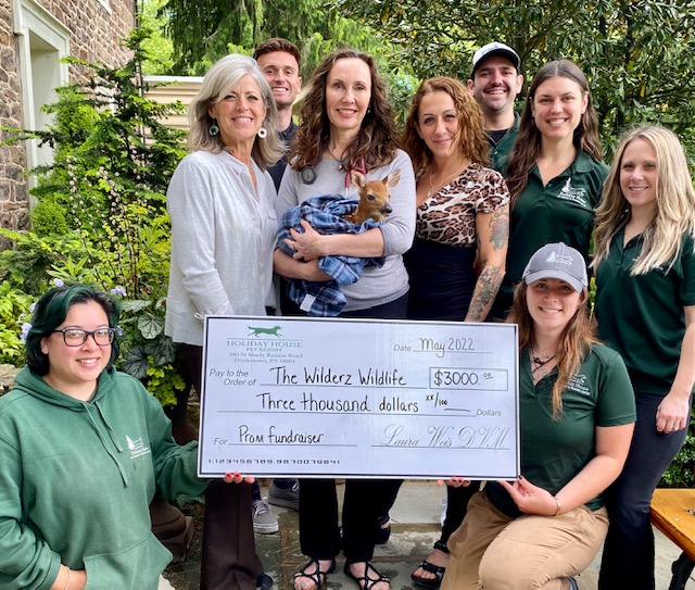 Check Presentation The Wilderz Wildlife 052522