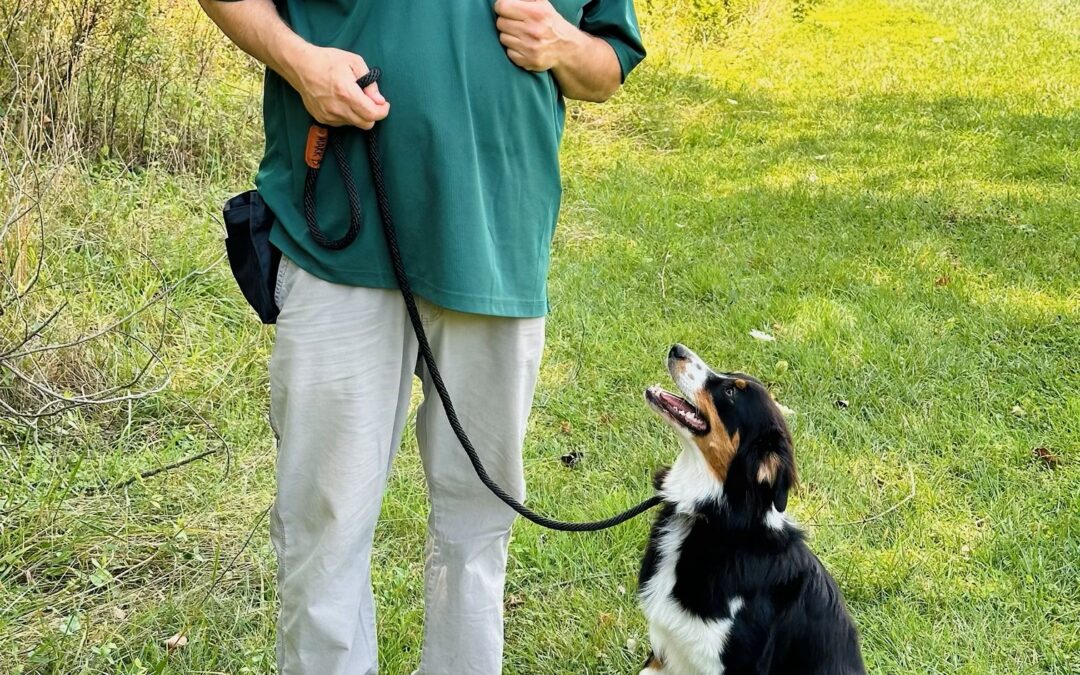 The Importance of Training for Your Dog’s Happiness